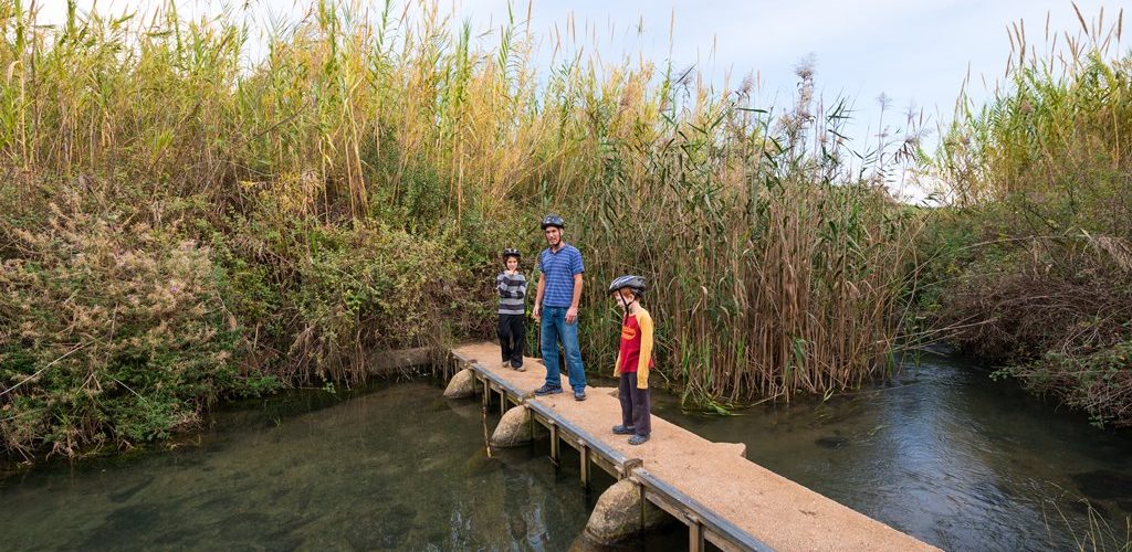 טיולי אופני שטח