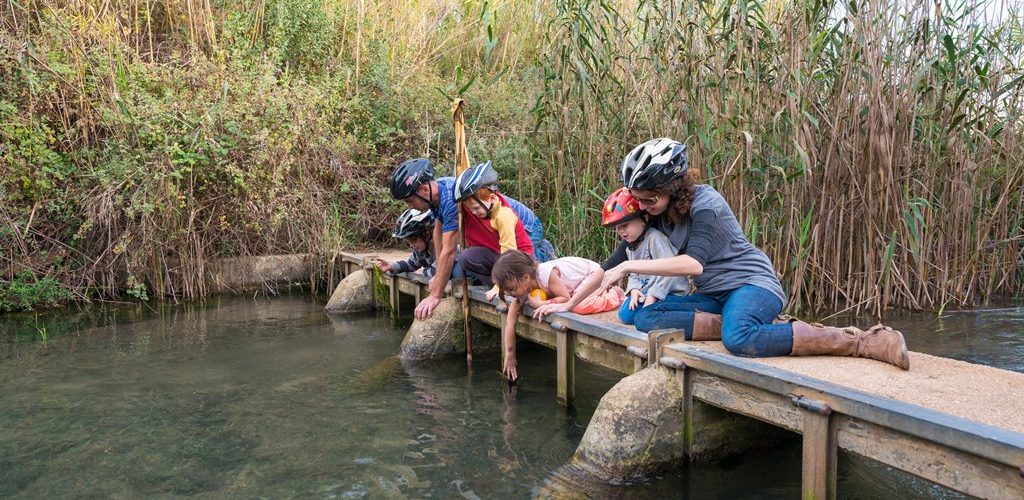 טיולי אופני שטח