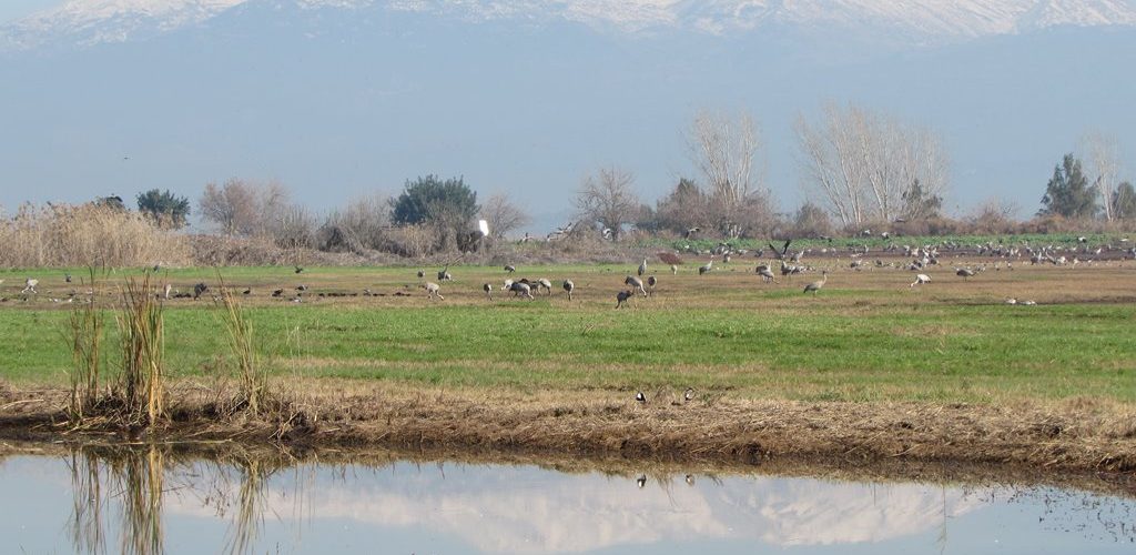 נוף ואווירה